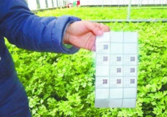 沒有防偽標(biāo)簽的商品是假的嗎？什么是防偽標(biāo)簽？